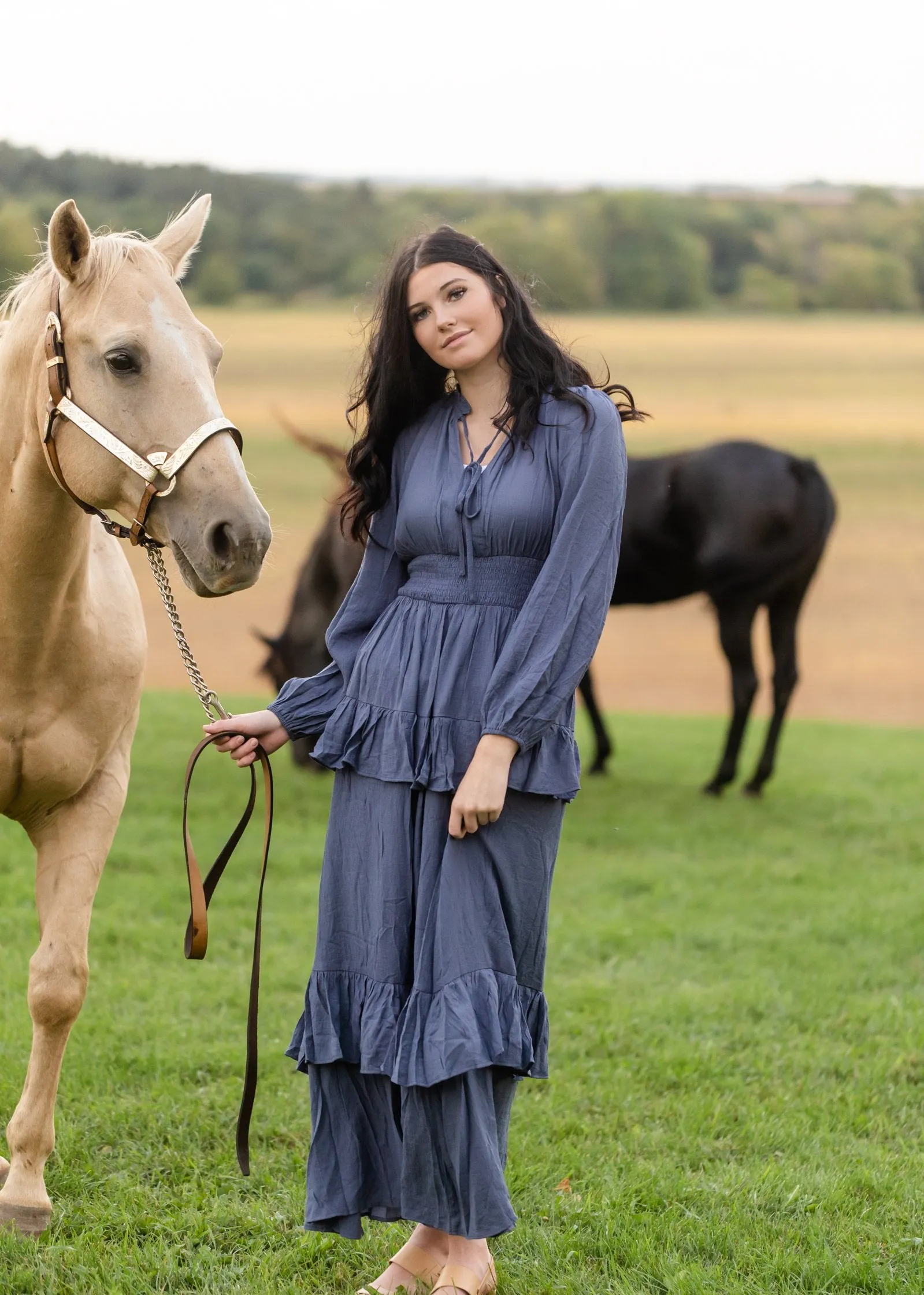 Long Sleeve Smocked Waist Tiered Maxi Dress