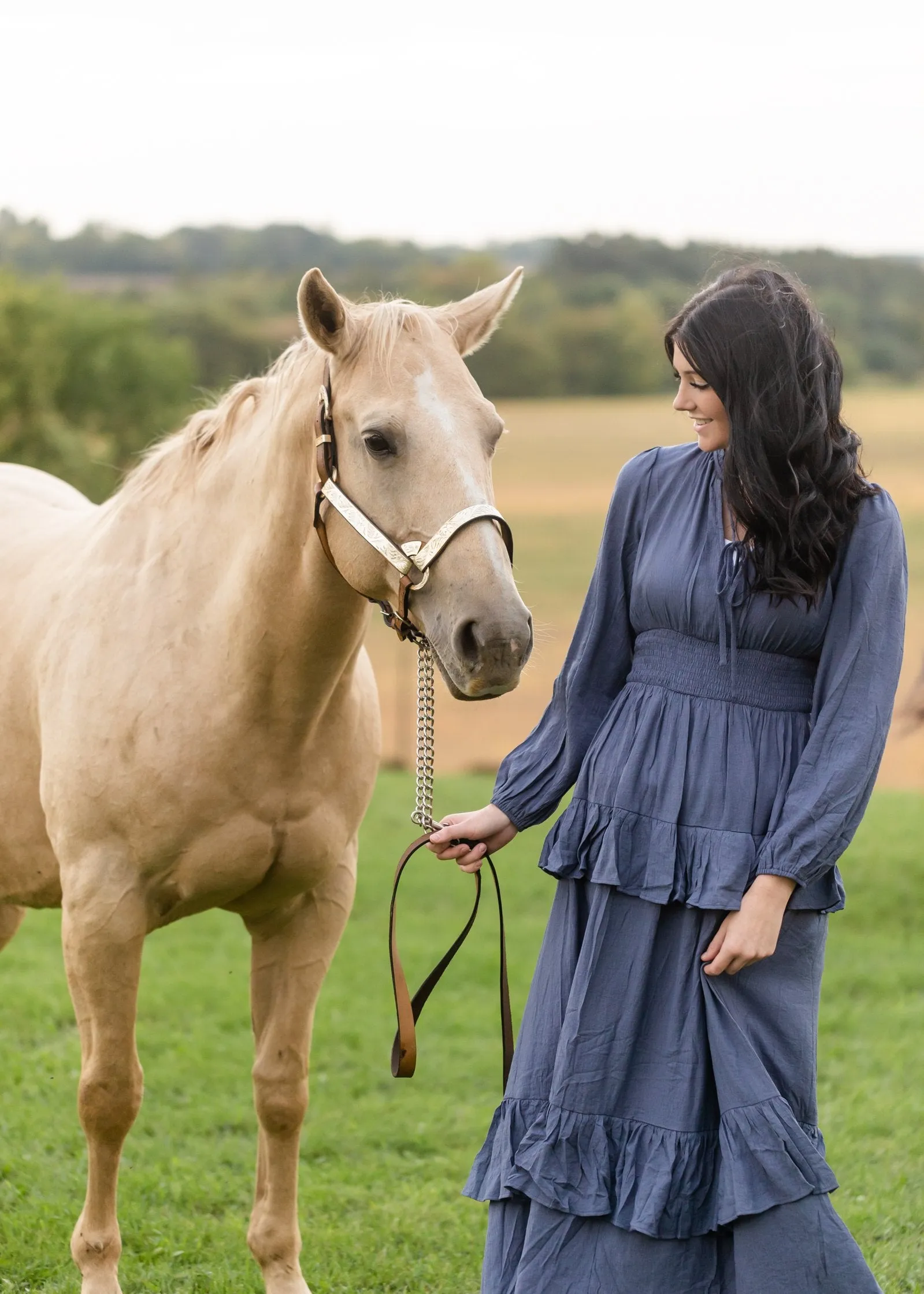 Long Sleeve Smocked Waist Tiered Maxi Dress