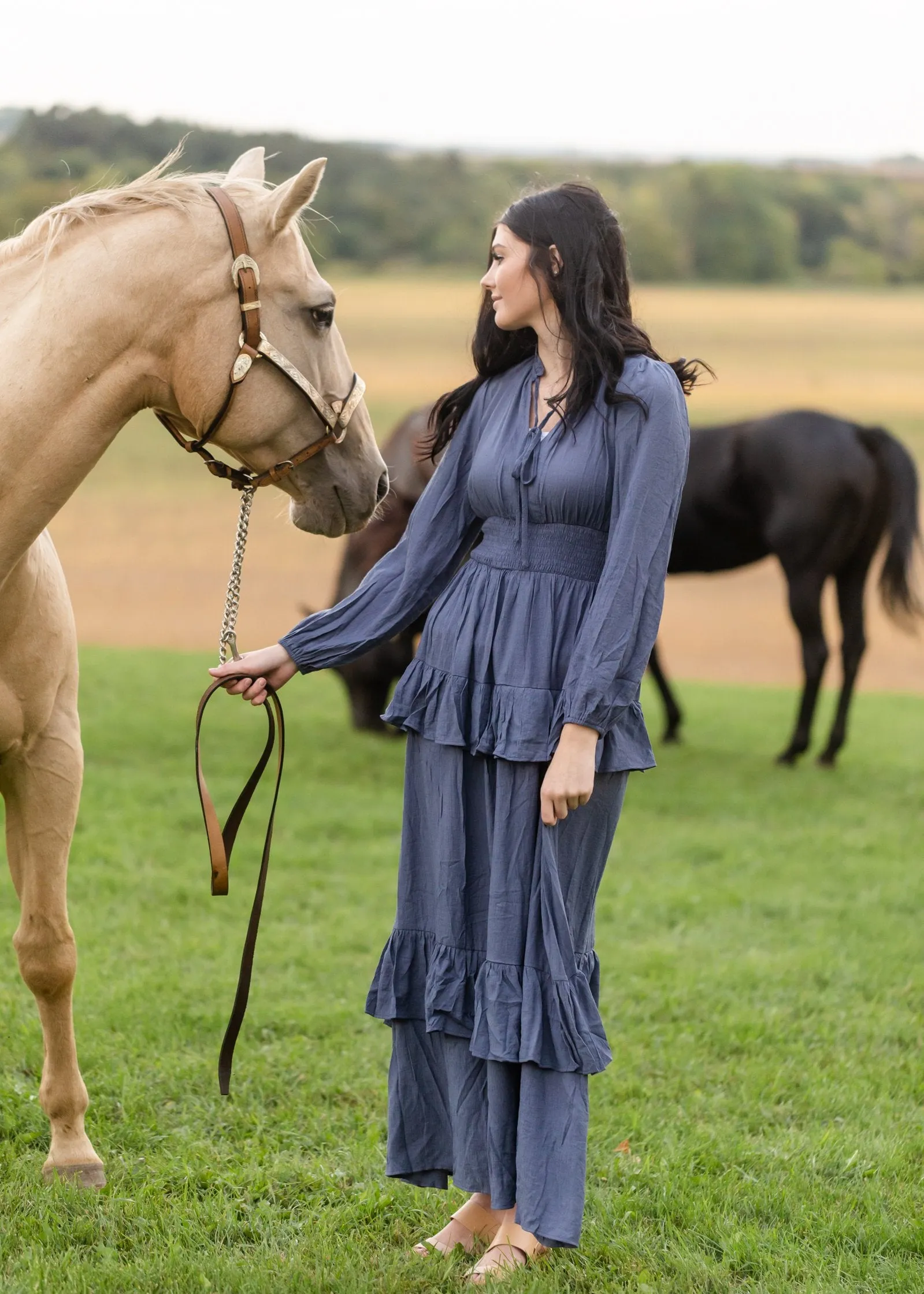 Long Sleeve Smocked Waist Tiered Maxi Dress