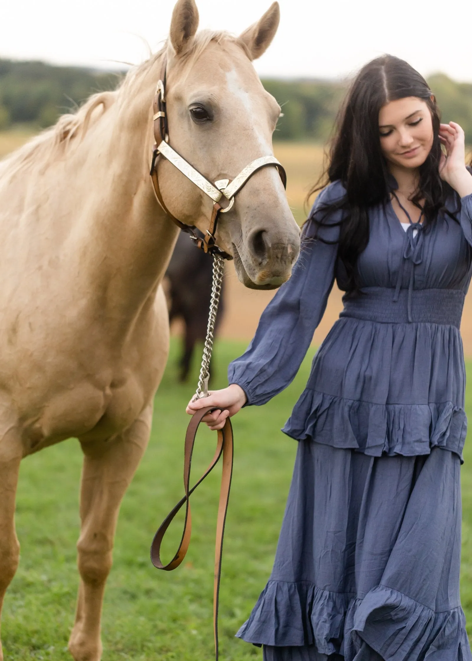 Long Sleeve Smocked Waist Tiered Maxi Dress