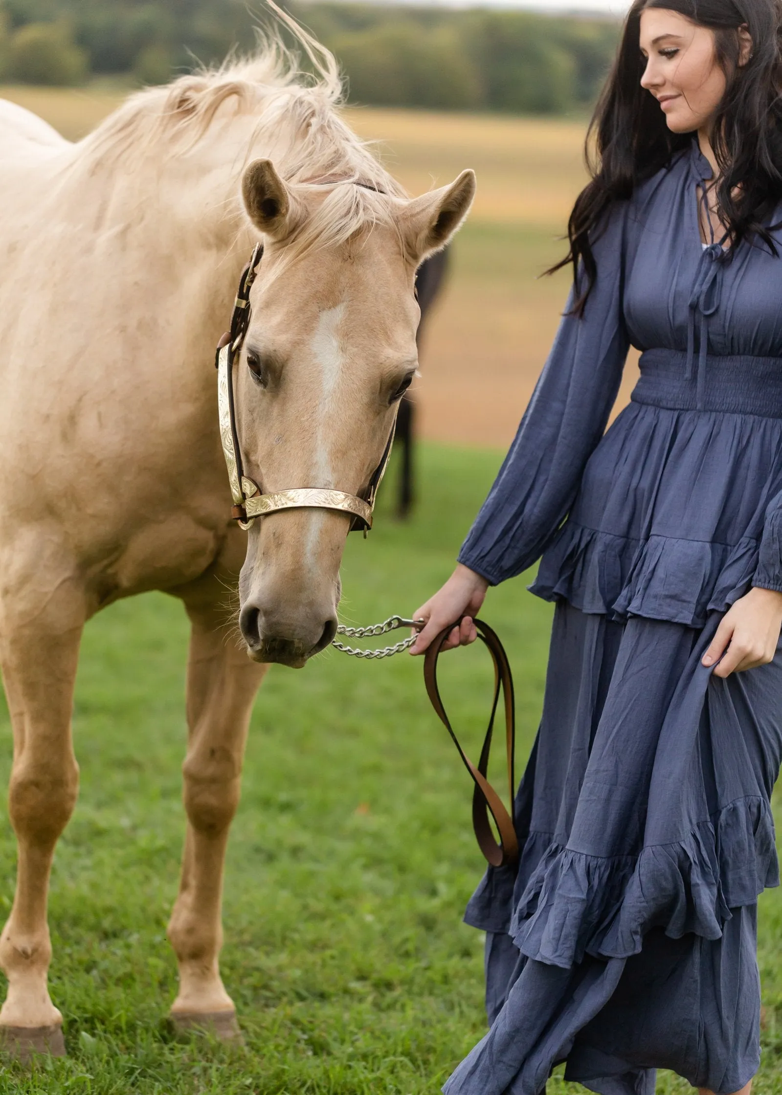 Long Sleeve Smocked Waist Tiered Maxi Dress