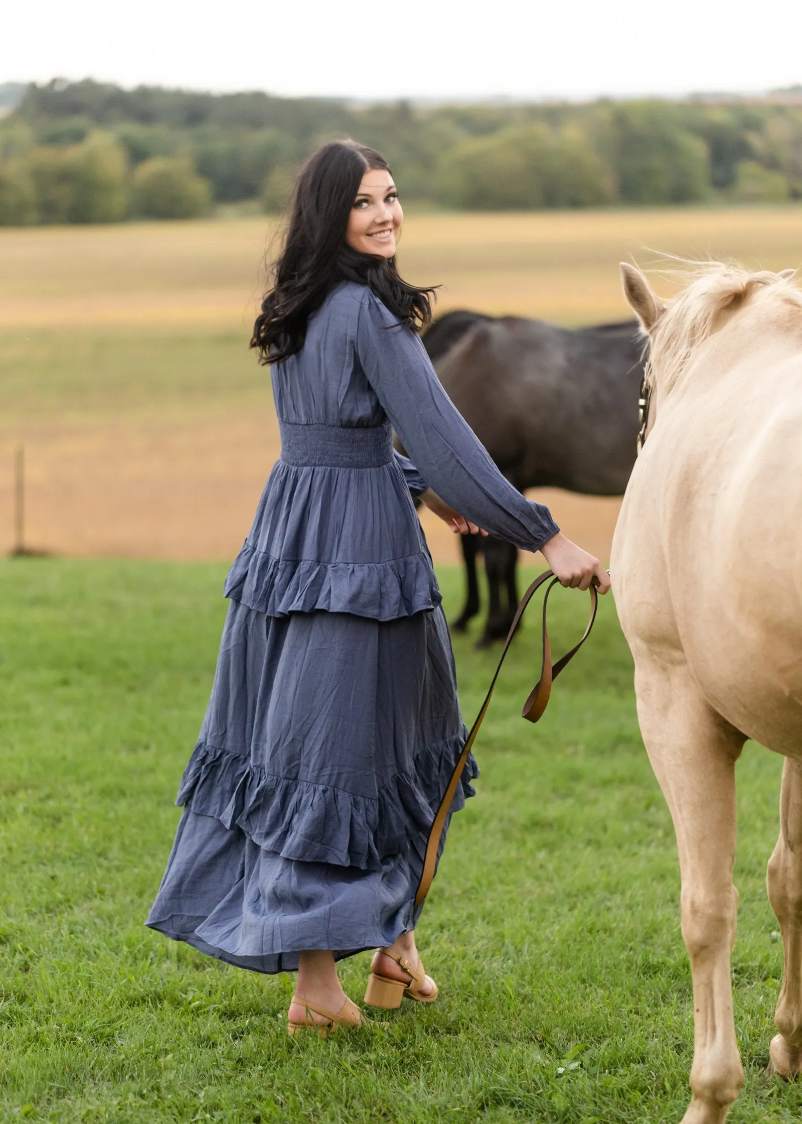 Long Sleeve Smocked Waist Tiered Maxi Dress