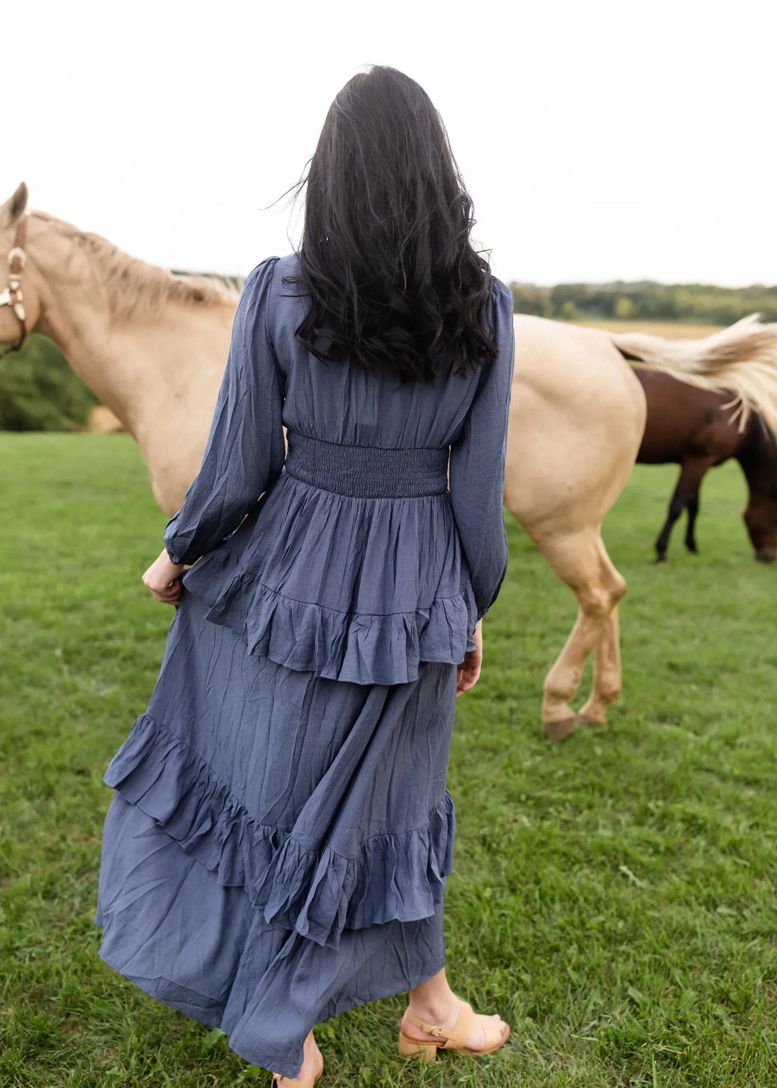 Long Sleeve Smocked Waist Tiered Maxi Dress