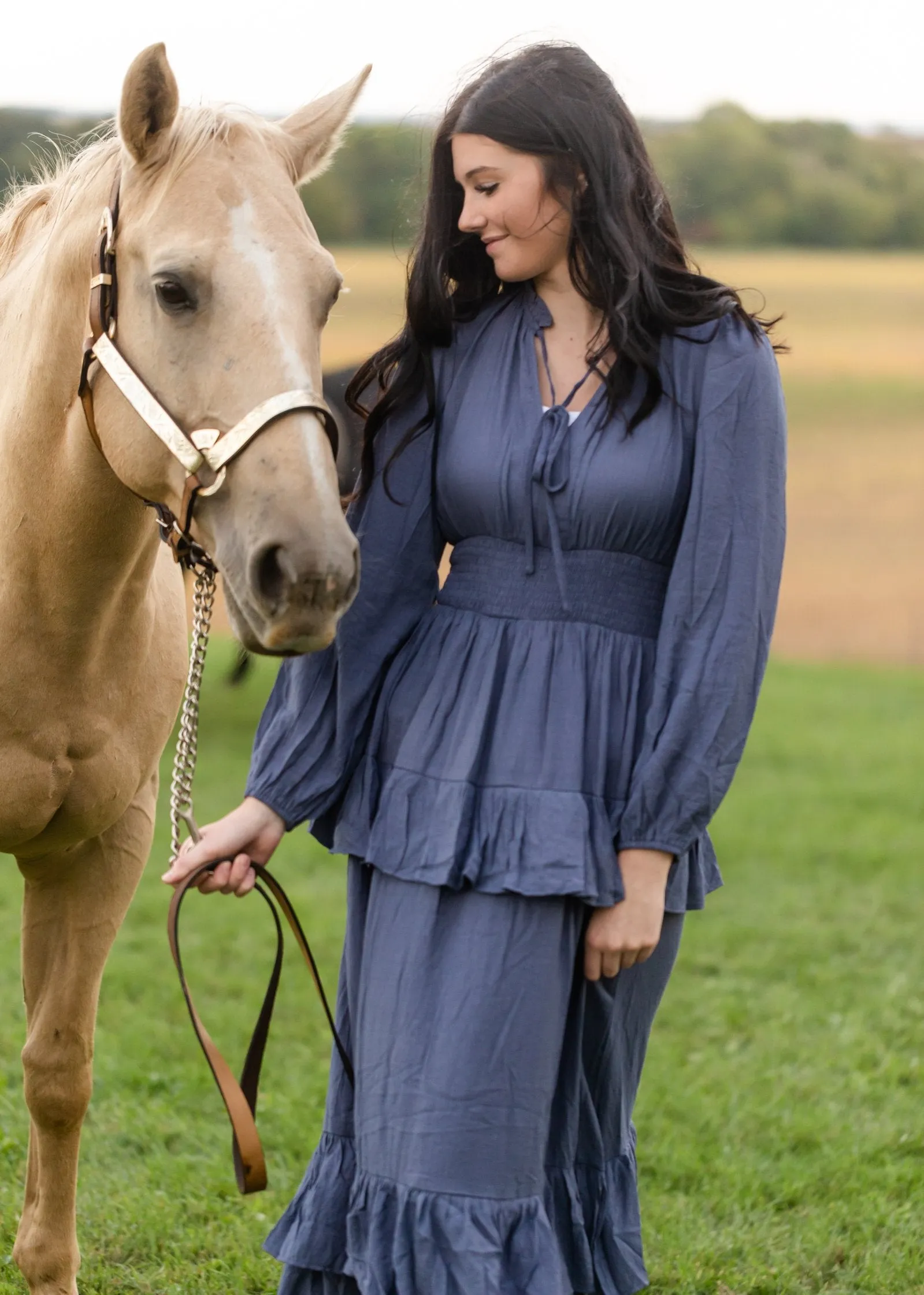 Long Sleeve Smocked Waist Tiered Maxi Dress