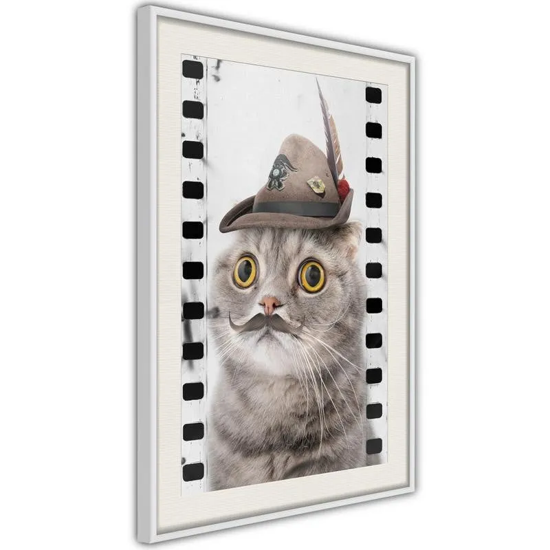 Poster Dressed Up Cat