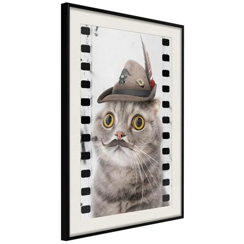 Poster Dressed Up Cat