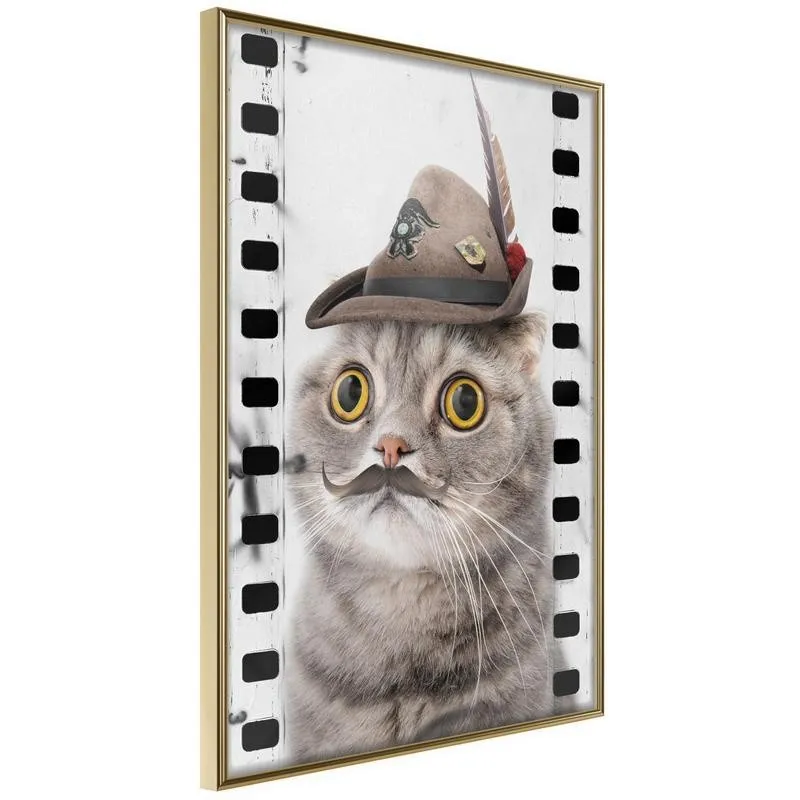 Poster Dressed Up Cat