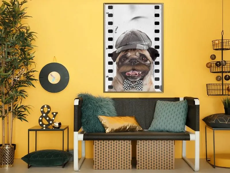 Poster Dressed Up Pug