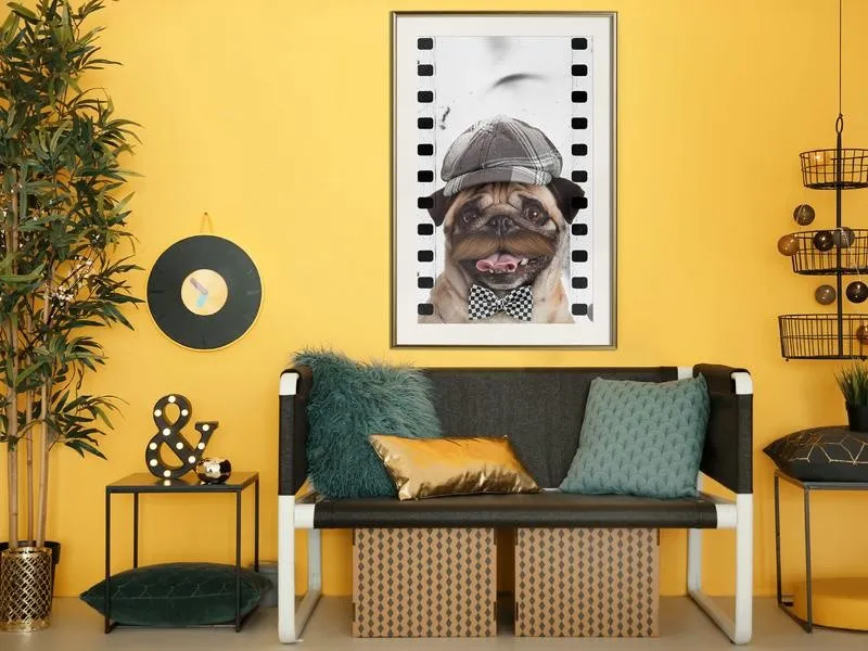 Poster Dressed Up Pug