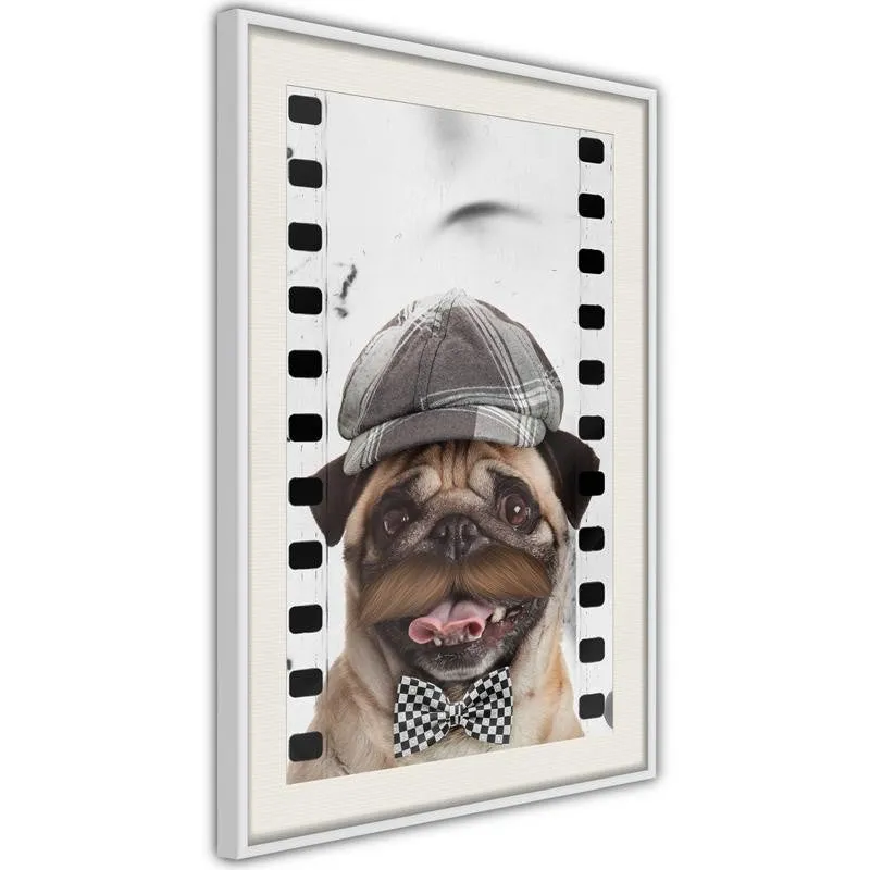 Poster Dressed Up Pug