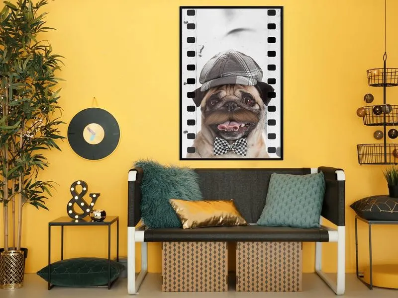 Poster Dressed Up Pug